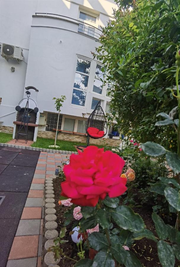 康斯坦察 Fitness House With Garden酒店 外观 照片